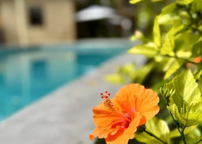 Southseas And Dive Center Resort