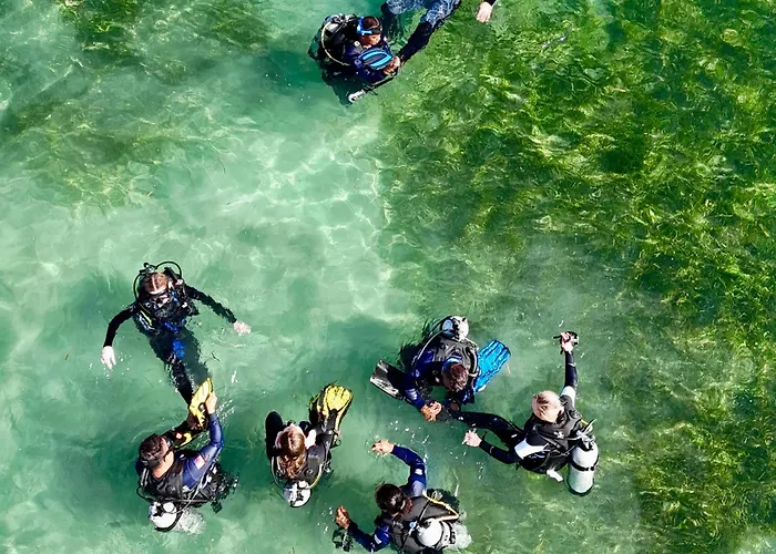 Southseas And Dive Center Resort